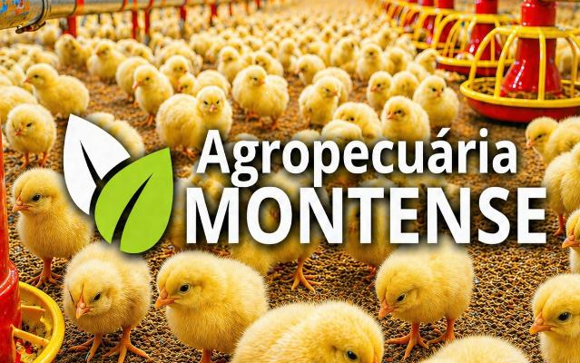 Agropecuária Montense